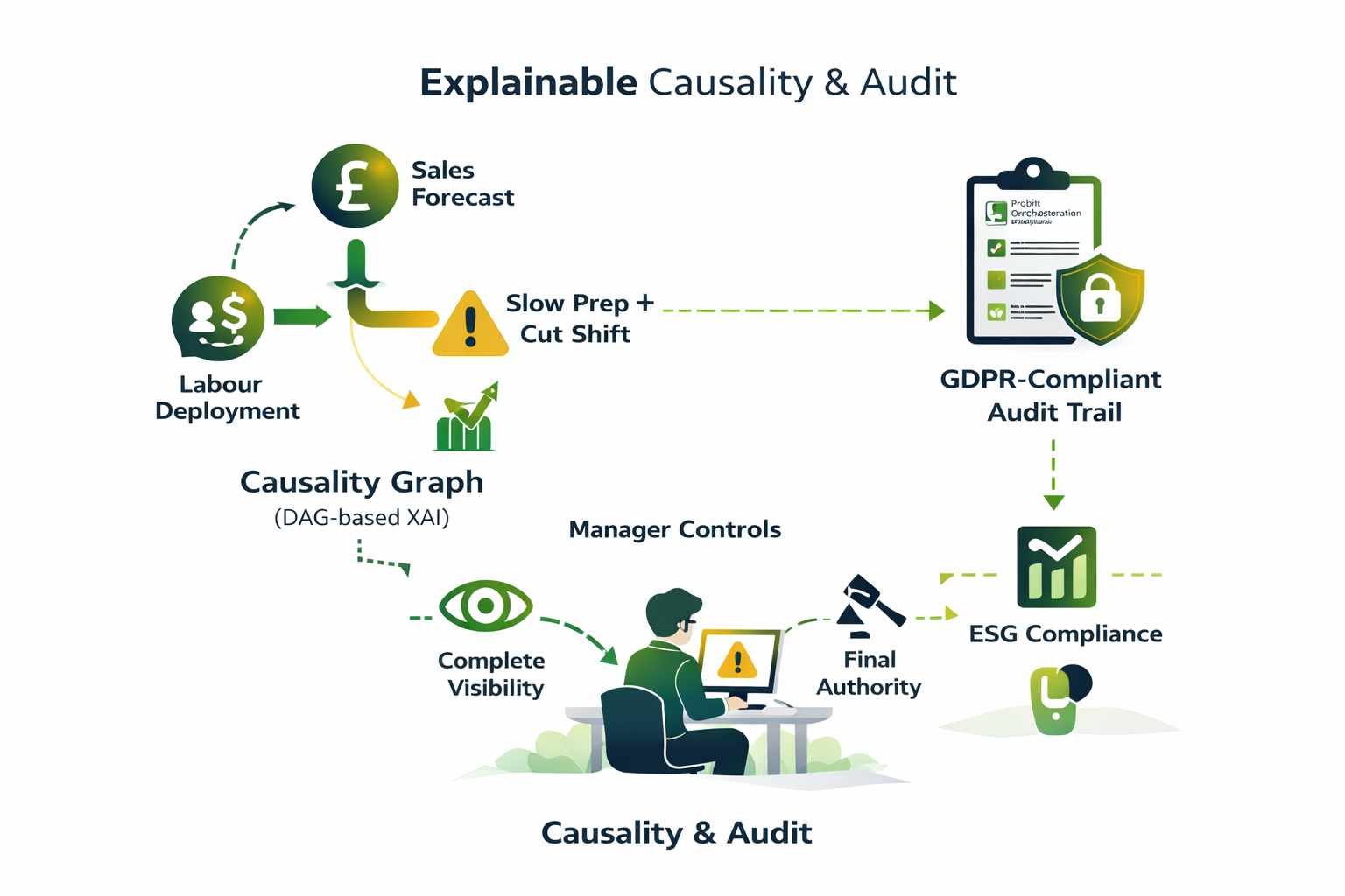 Explainable AI Audit